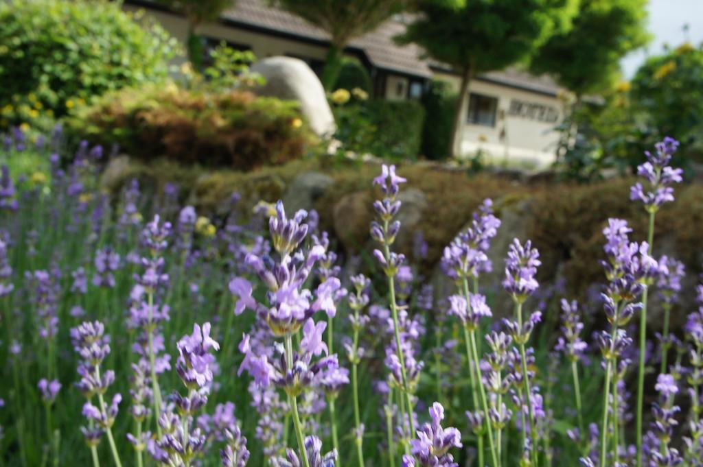 Lyng Dal Hotel Og Restaurant Ry Kültér fotó