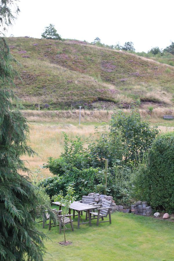 Lyng Dal Hotel Og Restaurant Ry Kültér fotó